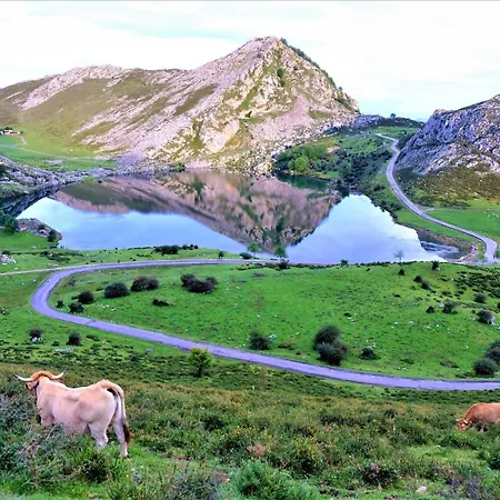 El Rincon De Soto Covadonga Y Cangas De Onis 木屋 *